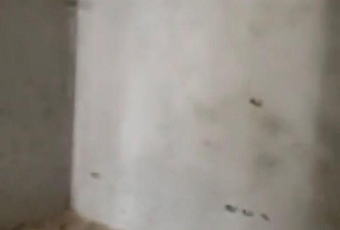 79724623 - صورة العقار 3