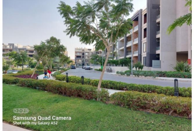 8438368 - صورة العقار 3