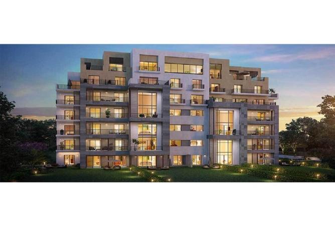 68258659 - Property Image 3