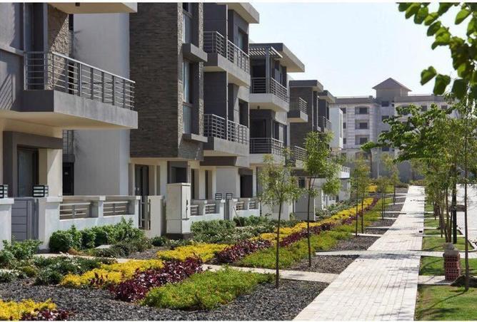 61683501 - Property Main Image