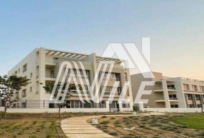 65918597 - صورة العقار 3