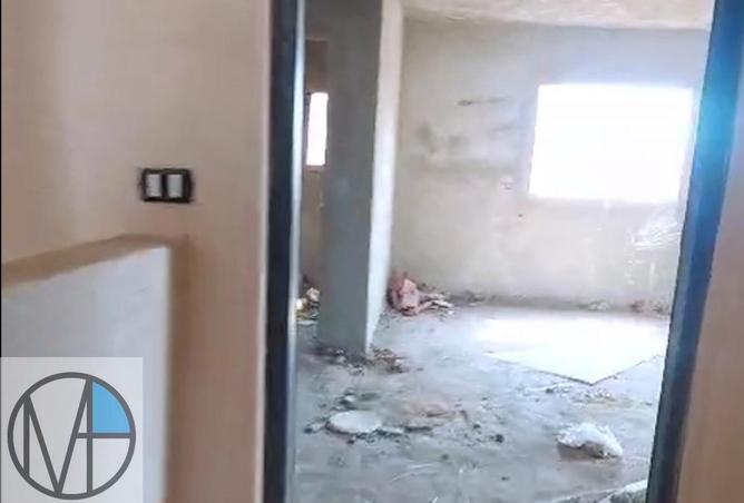 56247428 - Property Image 3