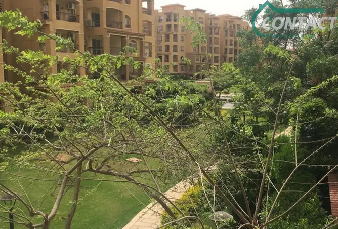 110471748 - صورة العقار 3