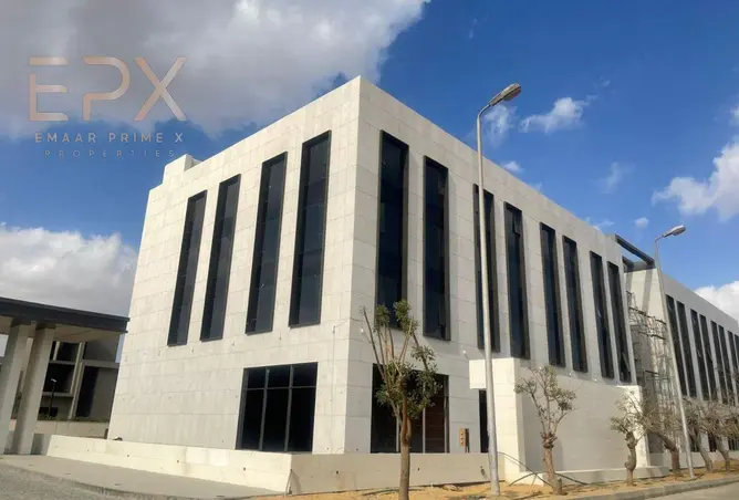 117271505 - صورة العقار 3
