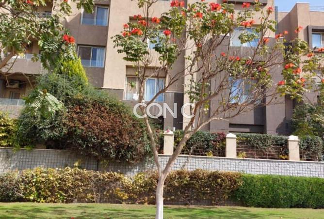 8453360 - Property Image 2