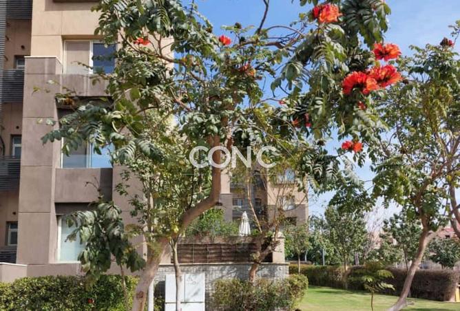 8453360 - Property Image 3