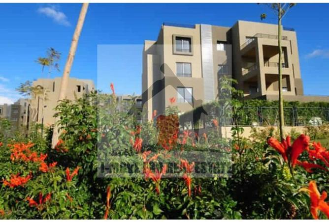 69053841 - صورة العقار 2