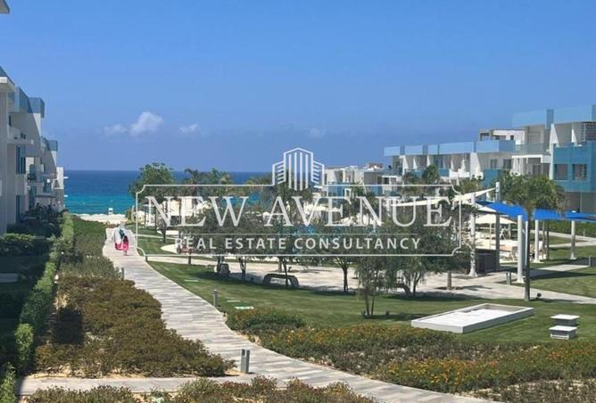 65151287 - صورة العقار 3