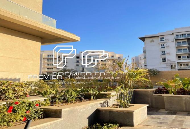 57238747 - Property Image 3