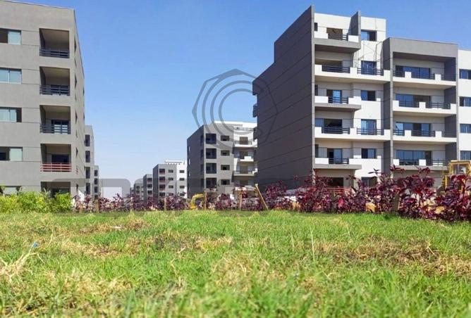 64894976 - صورة العقار 3