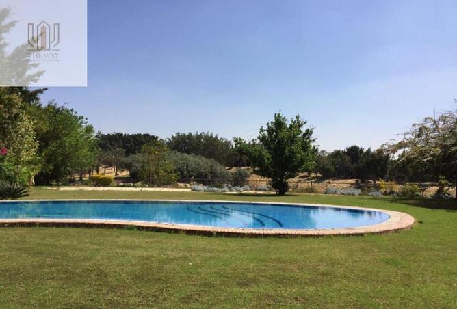 57497669 - صورة العقار 3