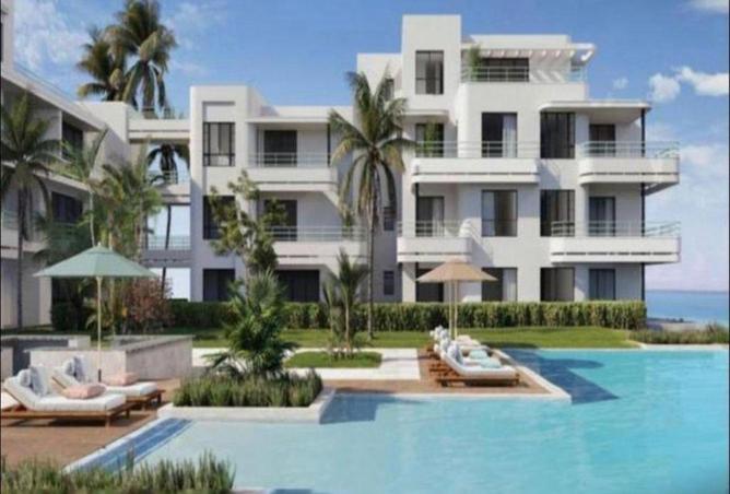 55761696 - Property Image 3