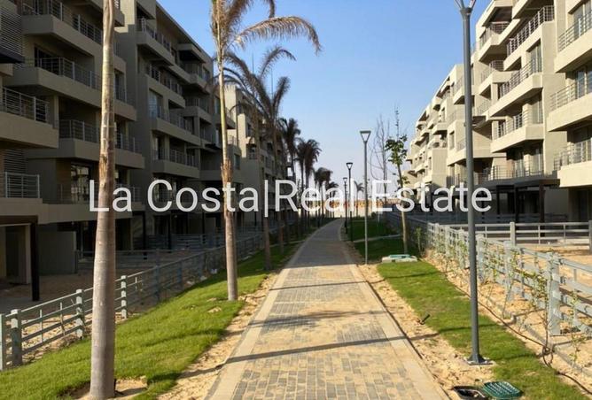 8613983 - Property Image 3