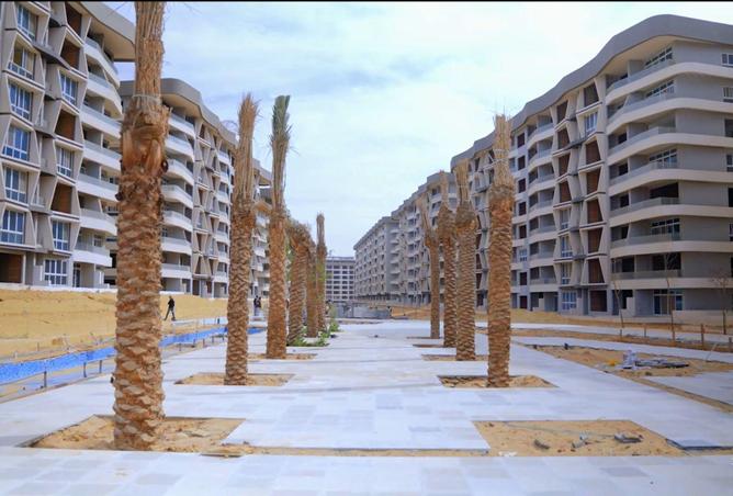 66968440 - صورة العقار 2