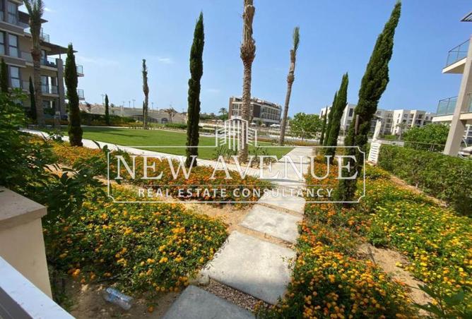 66421853 - Property Image 3