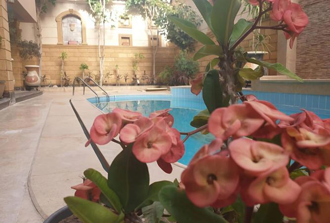 8524418 - Property Image 3