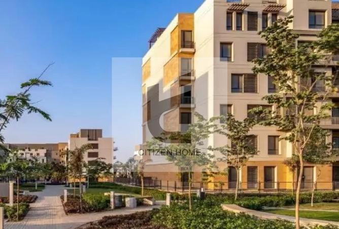 75670433 - صورة العقار 3
