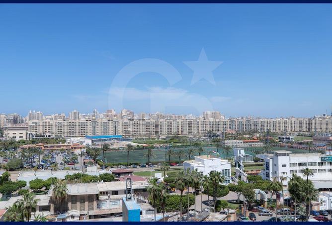 65922341 - Property Image 2