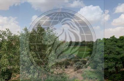 Villa - 5 - 6 for sale in Madinaty - Cairo