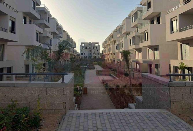 70356373 - Property Image 3