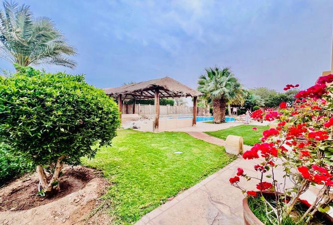 58736995 - صورة العقار 3