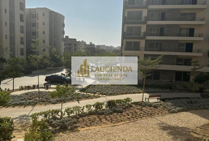 64137452 - Property Image 3