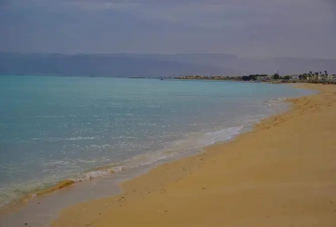 112708064 - صورة العقار 3