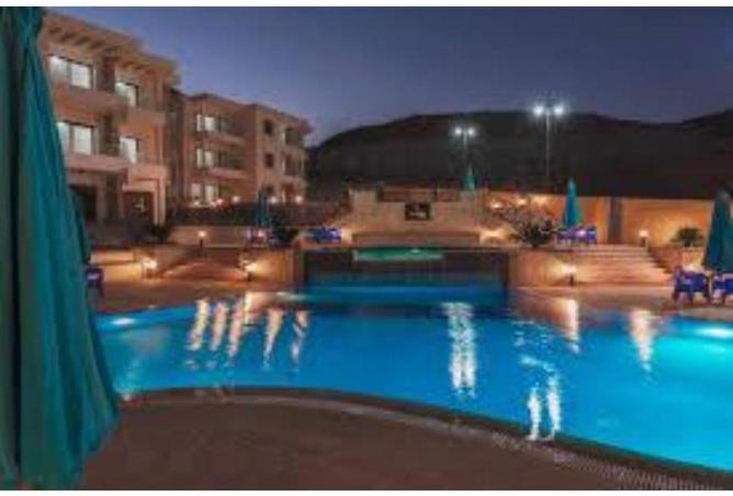 58255903 - Property Image 2