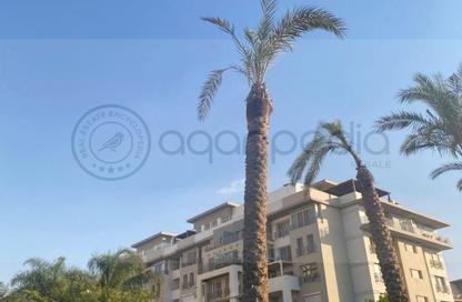 شقة - 3 - 3 للبيع في جاردن ريزدنس - هايد بارك - مدينة القاهرة الجديدة - القاهرة شقة - 3 - 3 للبيع في جاردن ريزدنس - هايد بارك - مدينة القاهرة الجديدة - القاهرة