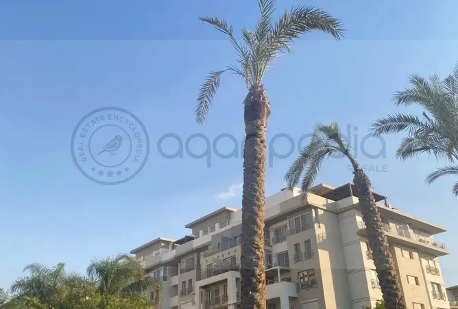 115182313 - Property Image 3