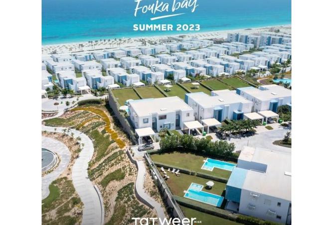 97715547 - Property Image 3
