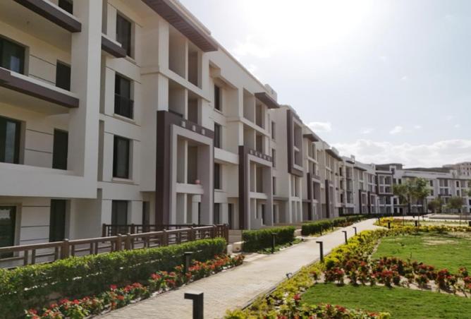 8427003 - صورة العقار 2