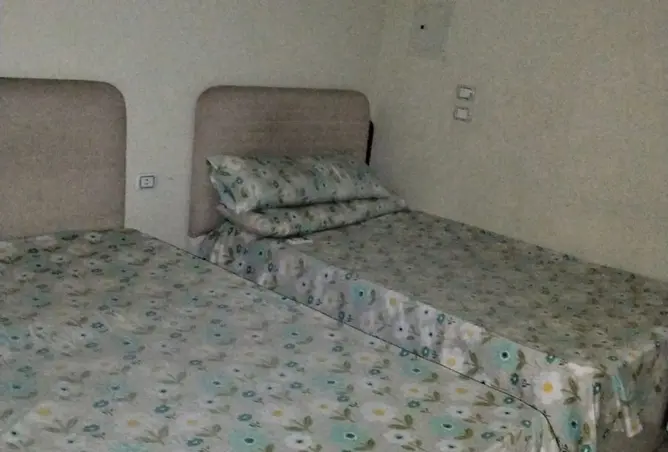 102062337 - Property Image 3