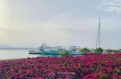 (بنتهاوس  (روف - 3 غرف نوم - 1 حمام للبيع في بلانكا جاردنز - سوما باى - سفاجا - الغردقة - محافظة البحر الاحمر