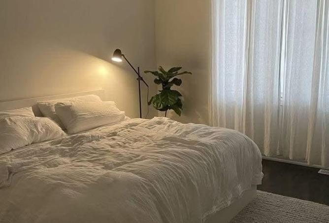 101205618 - Property Image 3