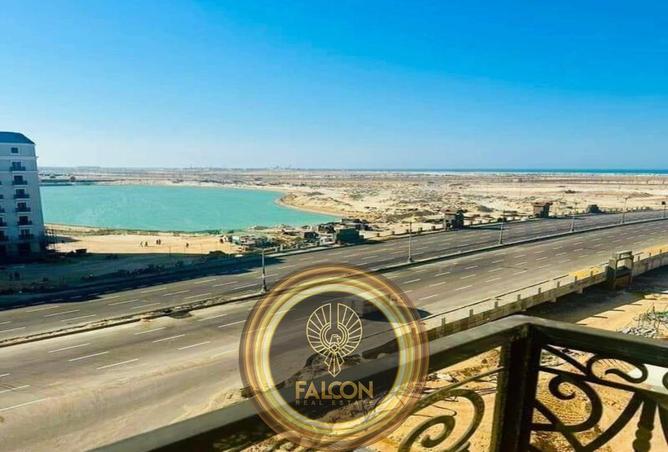 53729866 - صورة العقار 3