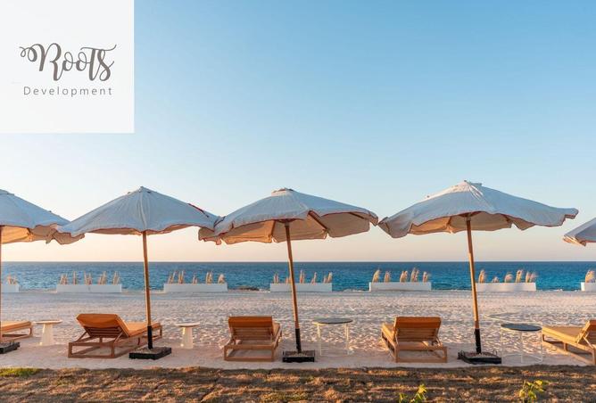 54236556 - Property Main Image