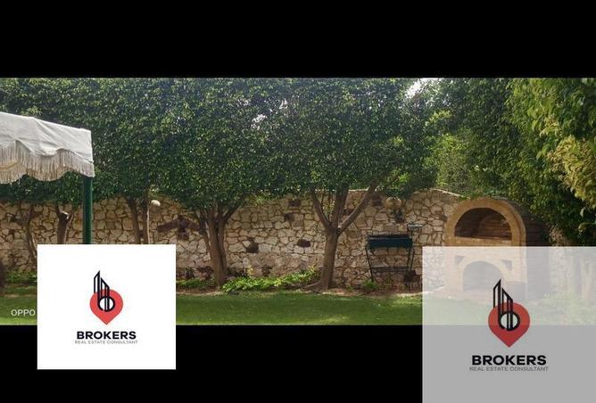 70372939 - صورة العقار 3