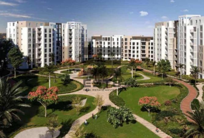 66703739 - Property Image 3