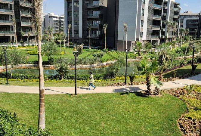 8510007 - صورة العقار 2