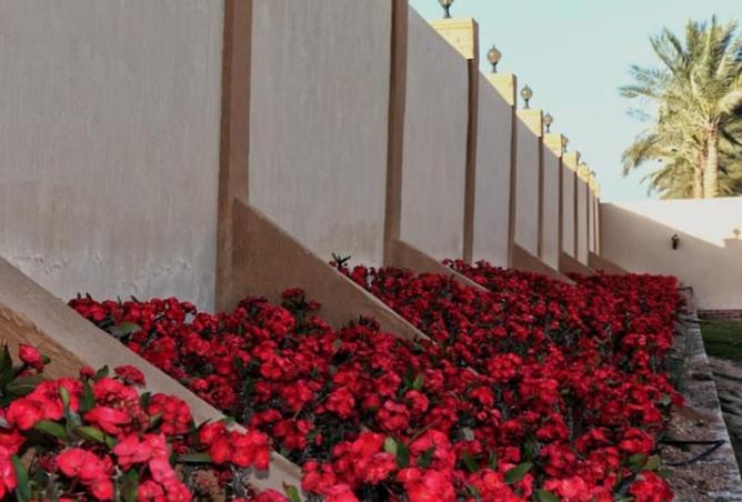 8378840 - صورة العقار 3