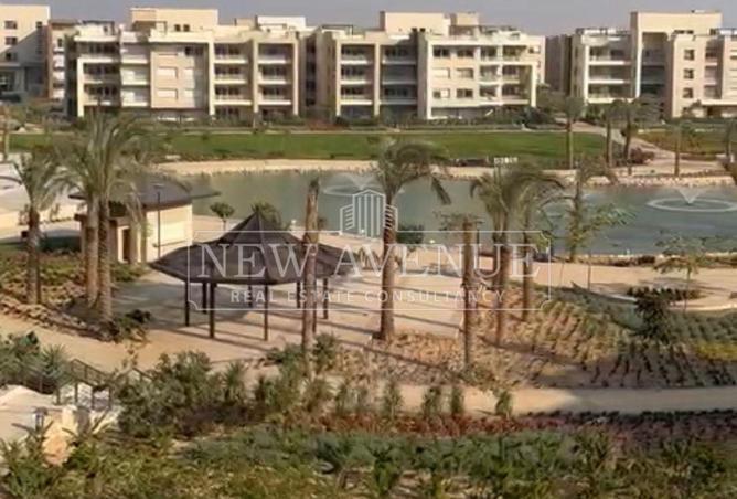 89241704 - صورة العقار 2