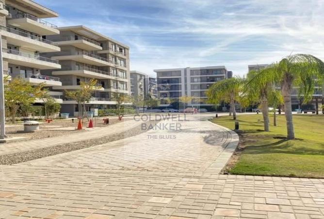 61924834 - Property Image 2