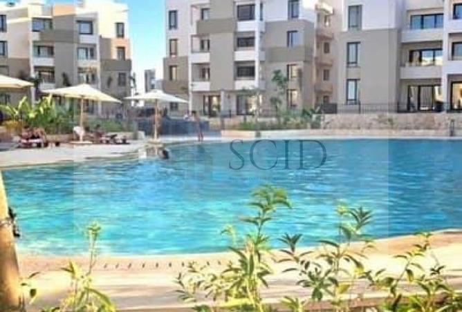 74598393 - Property Image 3