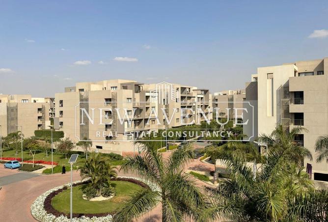 64144396 - Property Image 2