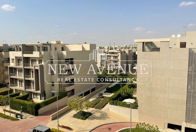 64144396 - Property Image 3