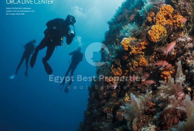 109071085 - Property Main Image