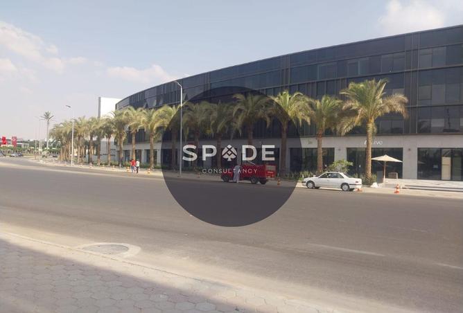 74313904 - Property Image 3