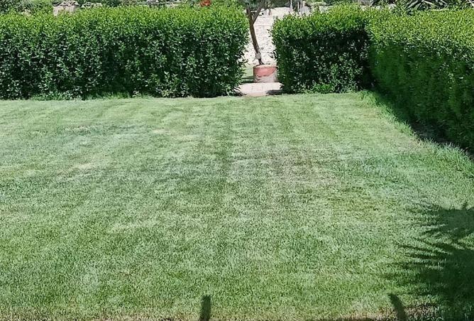 53217952 - صورة العقار 2