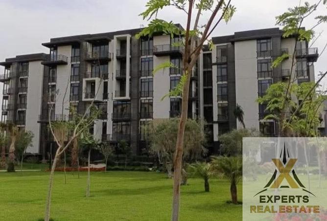 52453582 - Property Main Image